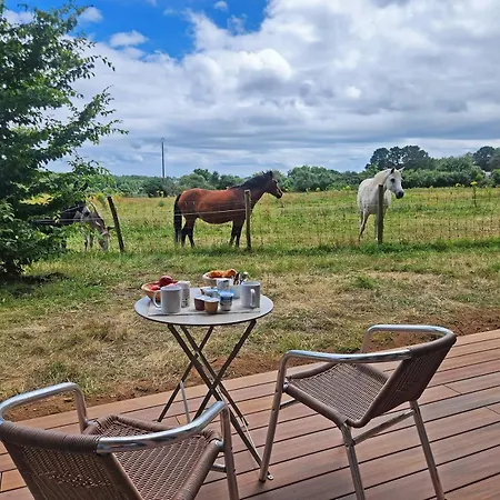 Gîtes&tiny Les Hauts De Toulvern