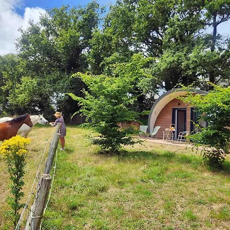 Gîtes&tiny Les Hauts De Toulvern Appartement